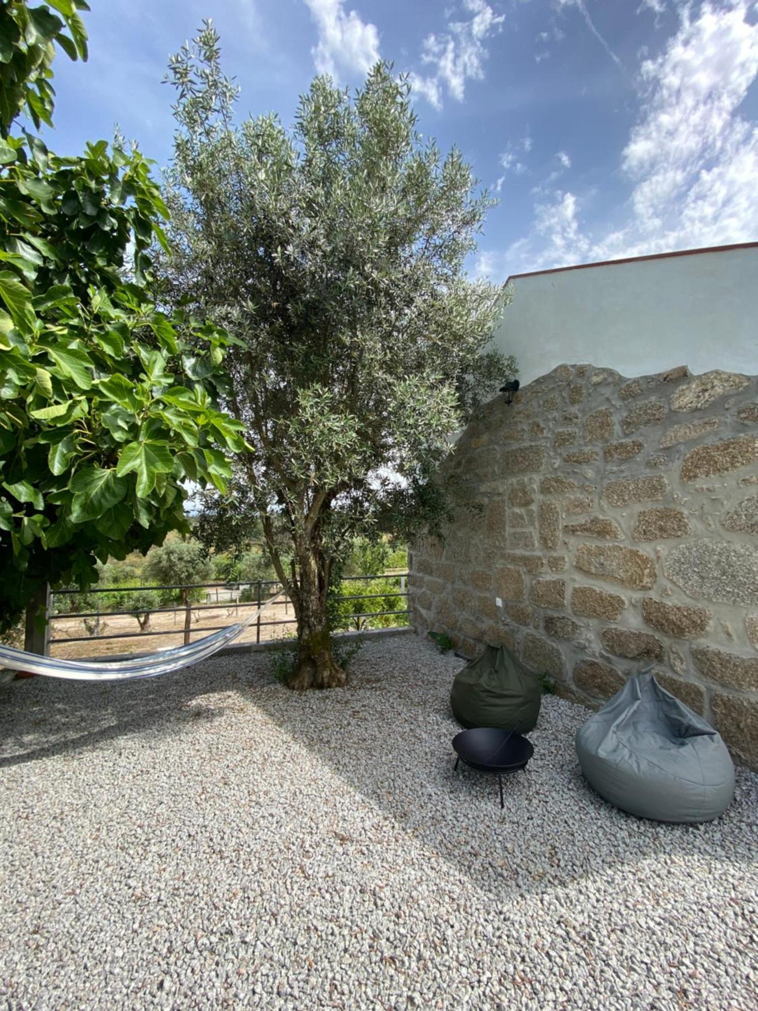 Casa De Pedra Em Vinha No Dao Villa Nelas Exteriör bild